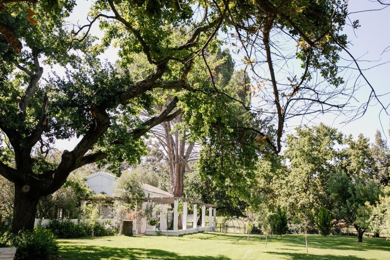 Montpellier De Tulbagh Hotel Kültér fotó